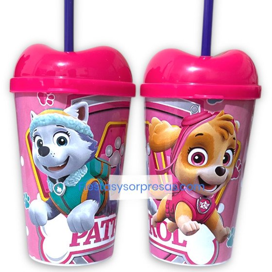Vasopitillos de Skye y Everest de Paw Patrol