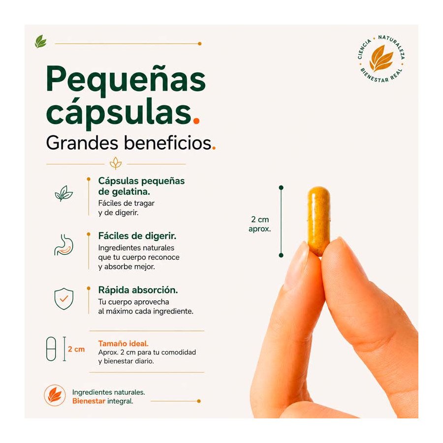Cúrcuma Jengibre Pimienta Negra | Fiestas y Sorpresas